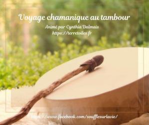 Voyage chamanique