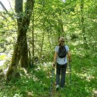 marche en conscience