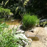 la riviere la Serene